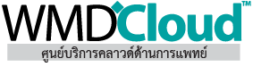 WMDCloud